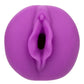 Anime Stroker Roxy Pussy