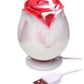 Bloomgasm The Rose Lover's Gift Box - Red/White Swirl
