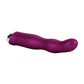 Body and Soul Attraction Vibrator