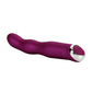 Body and Soul Attraction Vibrator