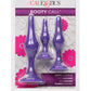 Booty Call Booty Trainer Starter Kit Silicone Anal Plugs 3 Assorted Sizes - Purple