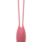 In A Bag Kegel Trainer Kit