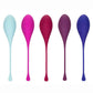 Kegel Training - Assorted Colors/Multicolor - 5 Piece/Set