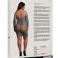 Le Desir Long Sleeved Net Mini Dress