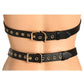 Master Series Harness with Restraints