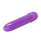 Neon Vibe Mini Vibrator
