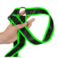 Ouch! Gladiator Harness