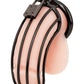 Prisoner Cock Cage