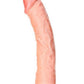 Realrock Curved Realistic Dildo with Suction Cup