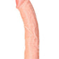 Realrock Curved Realistic Dildo with Suction Cup