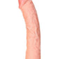 Realrock Curved Realistic Dildo with Suction Cup