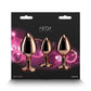 Rear Assets Aluminum Anal Plug Trainer Kit