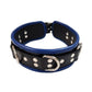 Rouge 5 D Ring Leather Collar - Black/Blue