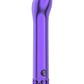 Royal Gems Jewel Rechargeable Bullet