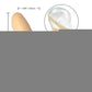 The Original Accommodator Dong