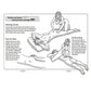 Tickle My Tush Mild to Wild Analplay Adventures For Everybody Book By Dr. Sadie Allison